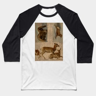 Study of Bighorn Sheep and Antelope by Albert Bierstadt Baseball T-Shirt